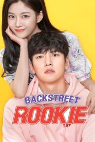 backstreet rookie 330 poster