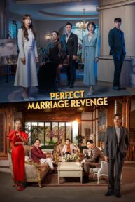 perfect marriage revenge 2944 poster