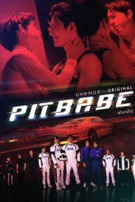pit babe 3135 poster