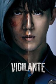 vigilante 3033 poster